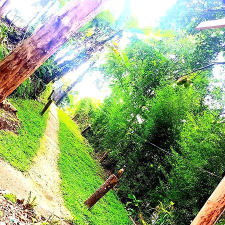 Ella Foret Accommodation Exterior foto