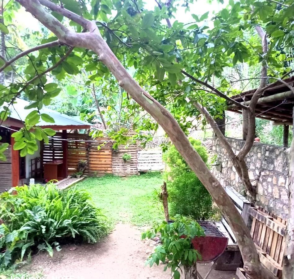 Ella Foret Accommodation Exterior foto
