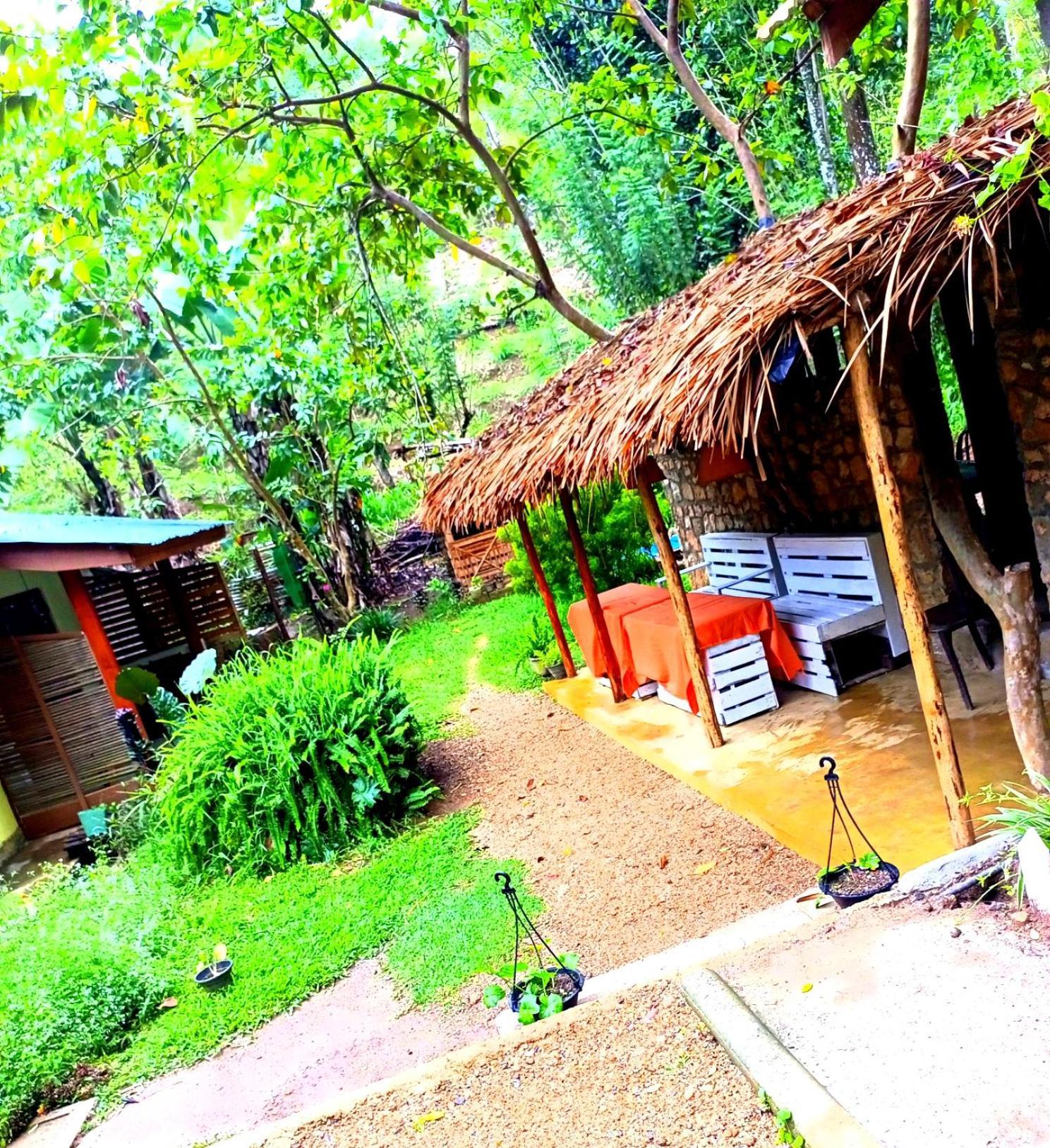 Ella Foret Accommodation Exterior foto